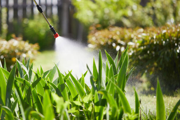 Tamper-Resistant Bait Stations for Rodents in Riverside